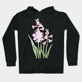 2 pink hyacinth flowers Hoodie